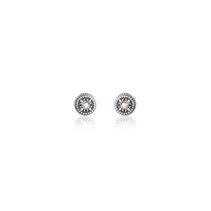 Pendientes mini Sunfield plata circon - PE062417