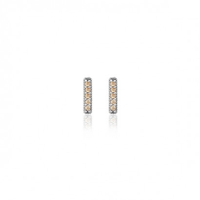 Arracades mini Sunfield plata zircon - PE062420