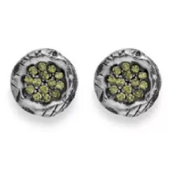Pendientes Platadepalo plata circon - CE2B