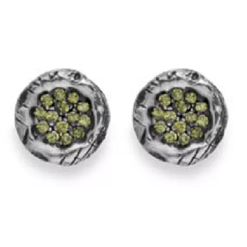 Pendientes Platadepalo plata circon - CE2B