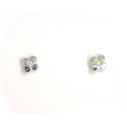 Arracades naixement or blanc 18klts brillants 0.017k - GBB2023P