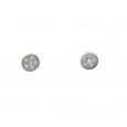 Pendientes nacimiento oro blanco 18klts brillantes 0.012k - BB1950PB Pendientes nacimiento oro blanco 18klts brillantes 0.012k - BB1950PB