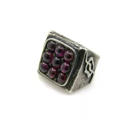 Anillo Platadepalo plata granate - R24