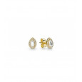 Pendientes Pandora shine plata chapada circon  - 266252CZ
