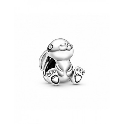Charm Pandora cunill plata - 798763C00