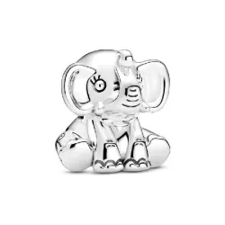 Charm Pandora plata - 799088C00