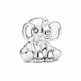 Charm Pandora plata - 799088C00