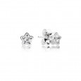 Arracades plata zircon estrella - 290597CZ