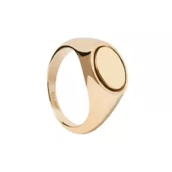 Anell Pdpaola Stamp plata xapada - AN01-628