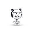 Charm Pandora plata zircon gat - 792255C01