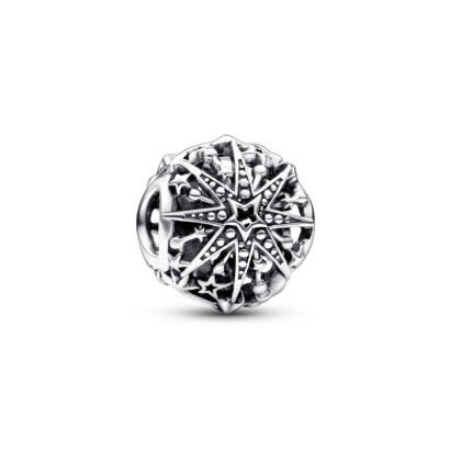 Charm Pandora plata floc de neu - 792360C00