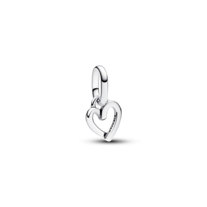 Charm Pandora cor plata - 793048C00