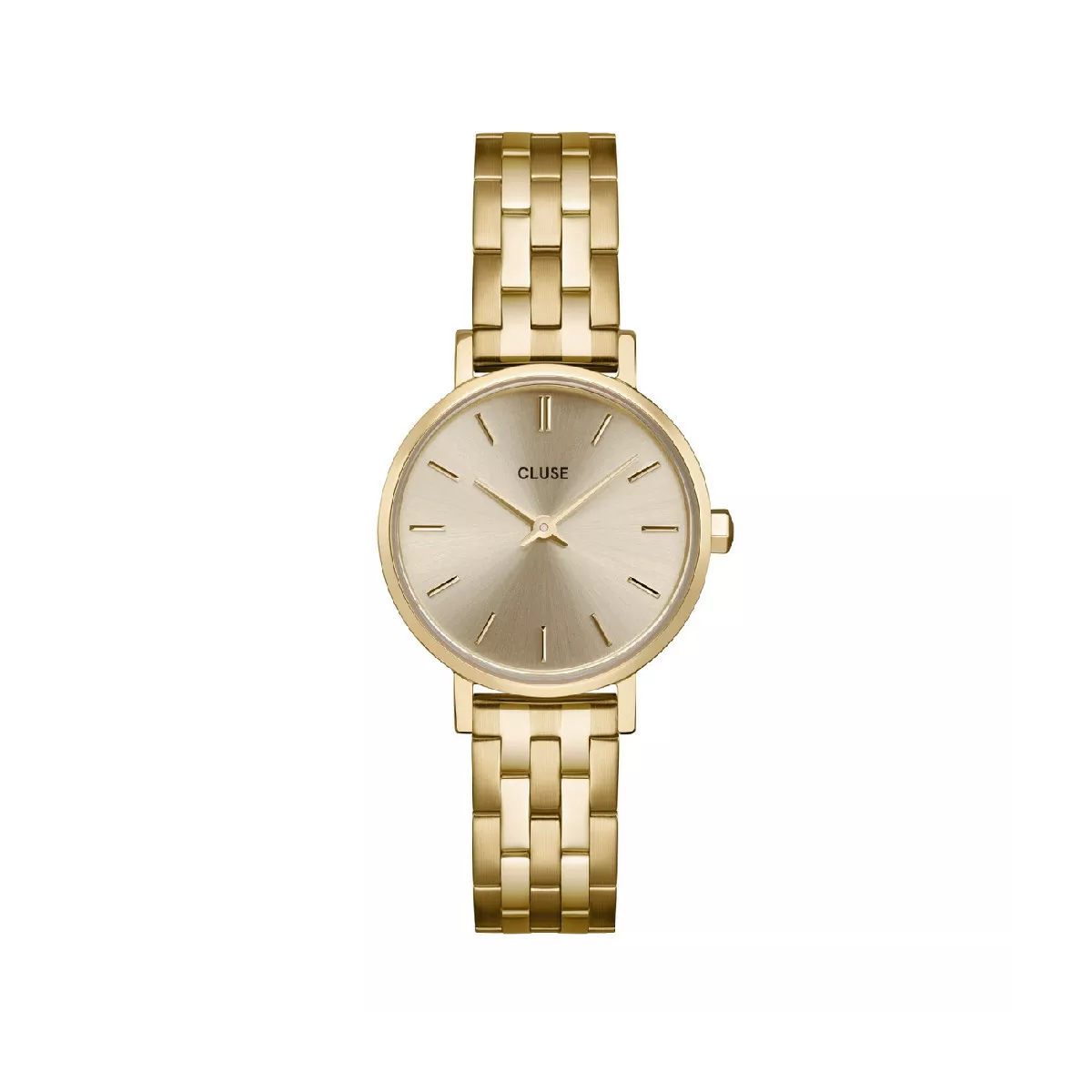 Rellotge Cluse Boho Chic Petite ip xapat - CW10506