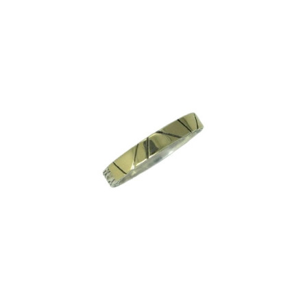 Anillo G.Styliano plata oro - ASP1731/C