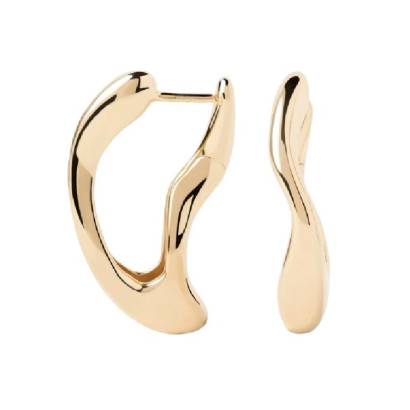 Arracades Pdpaola criolla plata xapada - AR01-D62-U