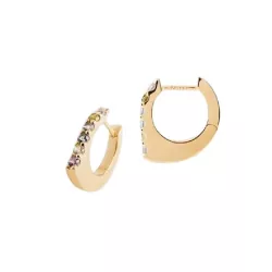 Arracades Pdpaola Oda plata xapada zircon multicolor - AR01-G18-U