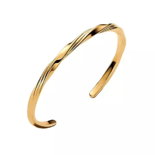 Polsera Pandora plata 14k gold plated - 563869C00