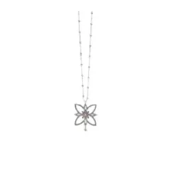 Penjoll Sunfield plata flor zircon - CL065491