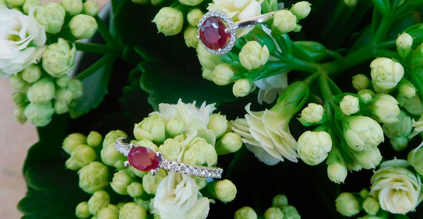 Vuelve Temps de flors a Girona